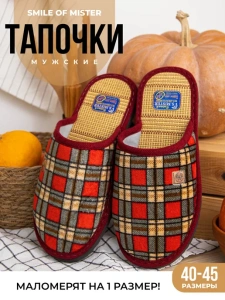 Туфли комнат. муж. А-160-1-08 Клет зак (р.40/41)