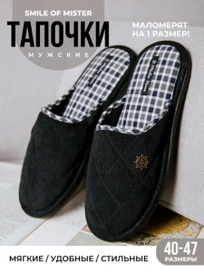 Туфли комнат. муж. А81-643-01 зак.(р.40)