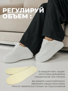 Кроссовки демисезонные 462-102-10/10 (40р.)